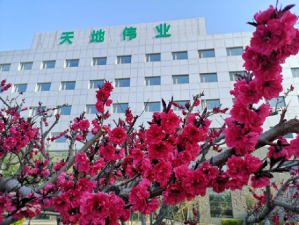 ylg060net永利娱高(中国)股份有限公司官网