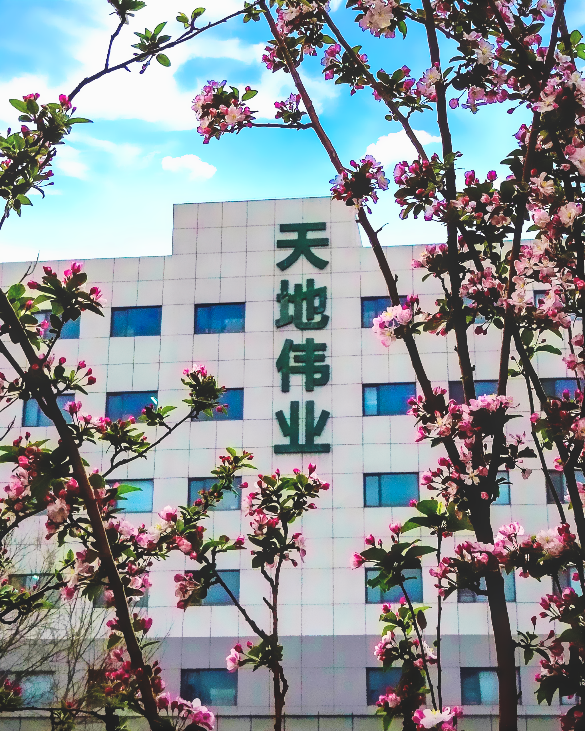 ylg060net永利娱高(中国)股份有限公司官网